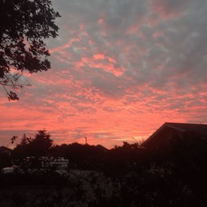 Meet your Posher, Vickie